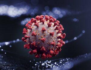 La pandemia non è uguale per tutti covid pandemia e1611998580124